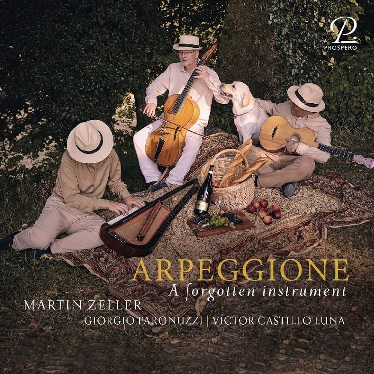 Produktbild: Zeller/Paronuzzi/Castillo Luna: Arpeggione - A forgotten Ins
