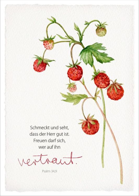 Produktbild: GartenGl&uuml;ck - Postkartenset