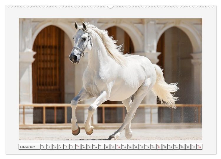 Produktbild: Spanische Eleganz. Edle Schimmel auf dem Gest&uuml;t (Wandkalender 2027 DIN A2 quer), CALVENDO Monatskalender