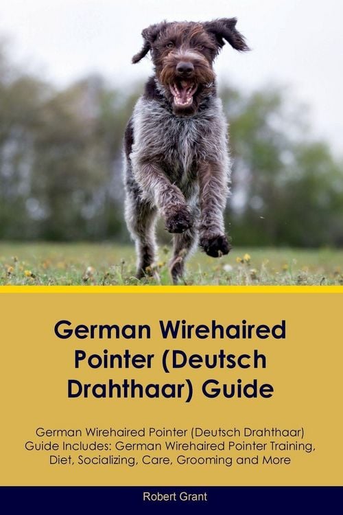 Produktbild: German Wirehaired Pointer (Deutsch Drahthaar) Guide German Wirehaired Pointer (Deutsch Drahthaar) Guide Includes