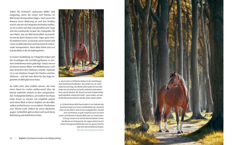 Produktbild: Haustiere perfekt fotografieren