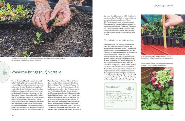 Produktbild: Der optimale Gem&uuml;segarten