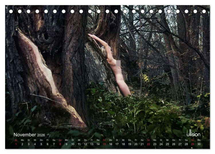 Produktbild: Lieblingsb&auml;ume - eins mit der Natur (Tischkalender 2026 DIN A5 quer), CALVENDO Monatskalender