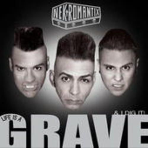 Produktbild: Life Is A Grave And I Dig It
