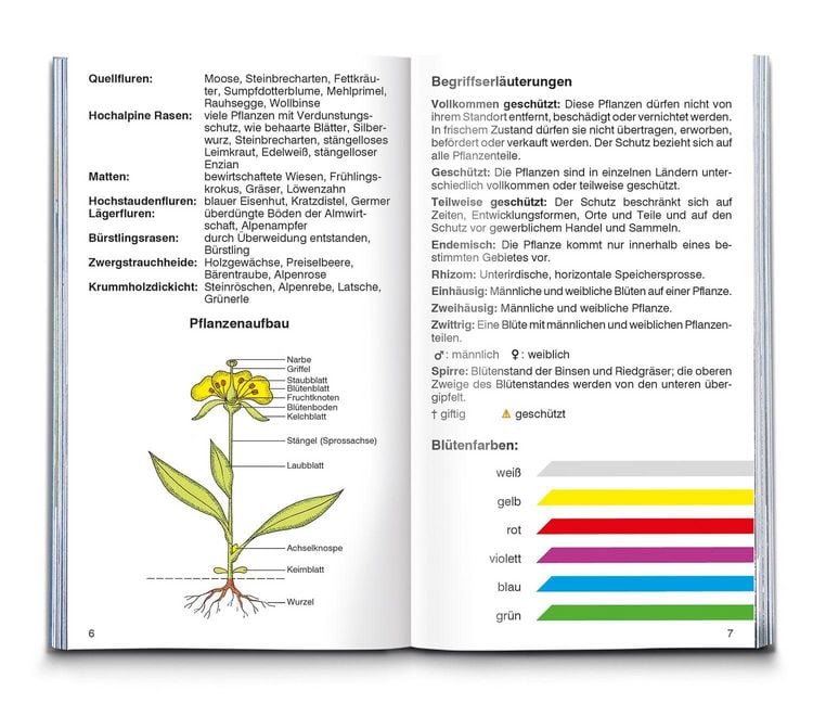 Produktbild: Alpenblumen
