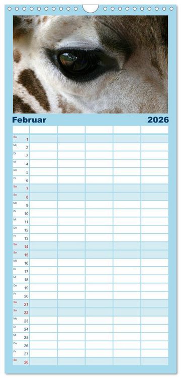 Produktbild: Familienplaner 2026 - Giraffen - Sanftheit und Anmut mit 5 Spalten (Wandkalender, 21 x 45 cm) CALVENDO