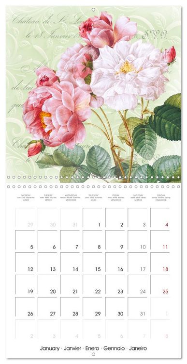 Produktbild: The Magical Roses Collages with roses from Pierre Joseph Redout&eacute; (Wall Calendar 2026 12 &times; 12 Inch) CALVENDO 12 Month Wall Calendar