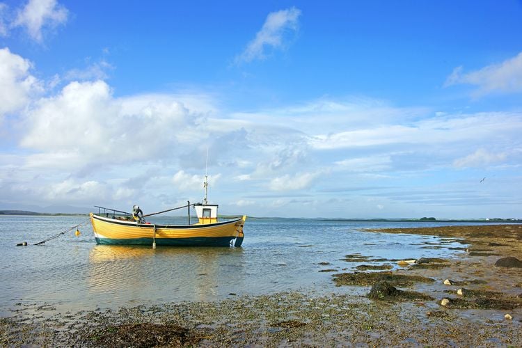 Produktbild: Das Reisebuch Irland