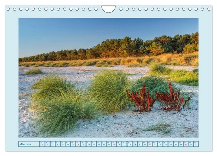 Produktbild: Fischland-Dar&szlig;-Zingst (Wandkalender 2026 DIN A4 quer), CALVENDO Monatskalender