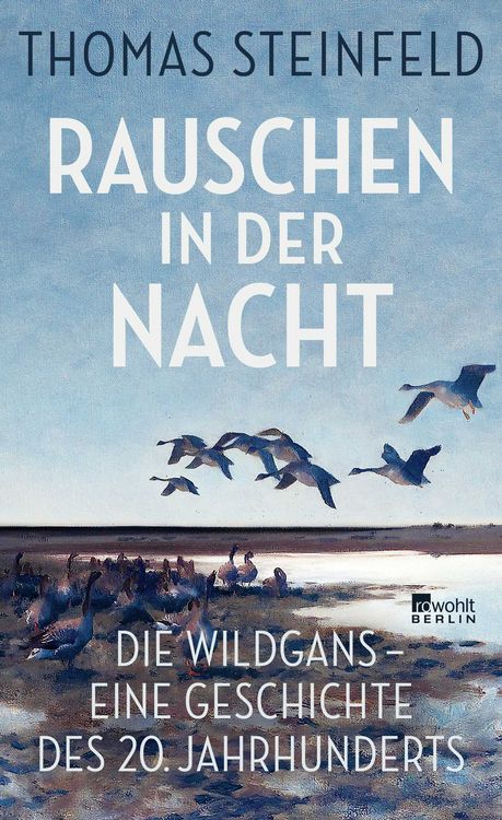 Produktbild: Rauschen in der Nacht