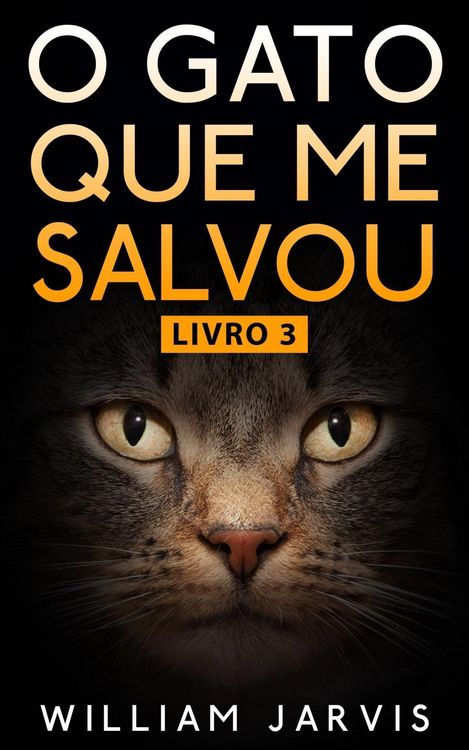 Produktbild: O Gato Que Me Salvou Livro 3