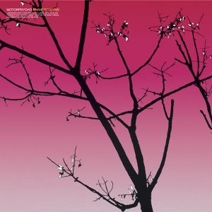 Produktbild: Phanerothyme