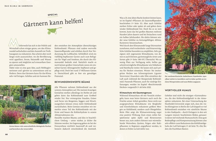 So wird der Garten fit fürs Klima