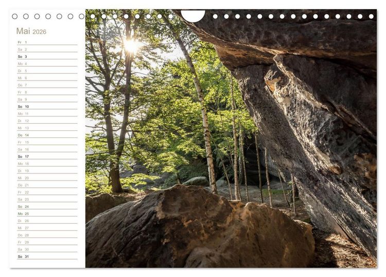 Produktbild: Der Sonne entgegen &ndash; Elbsandstein (Wandkalender 2026 DIN A4 quer), CALVENDO Monatskalender