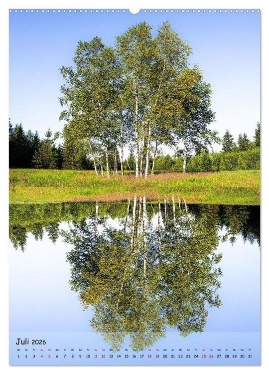 Produktbild: Spiegelb&auml;ume (Wandkalender 2026 DIN A2 hoch), CALVENDO Monatskalender