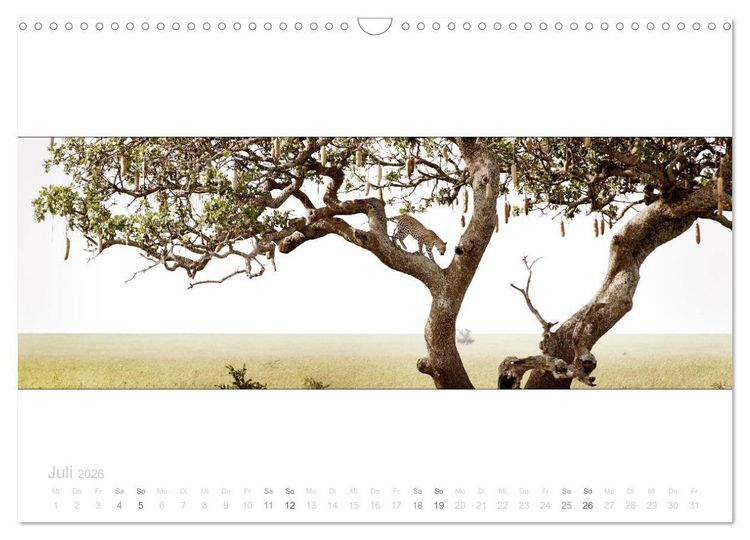 Produktbild: Serengeti Panorama (Wandkalender 2026 DIN A3 quer), CALVENDO Monatskalender
