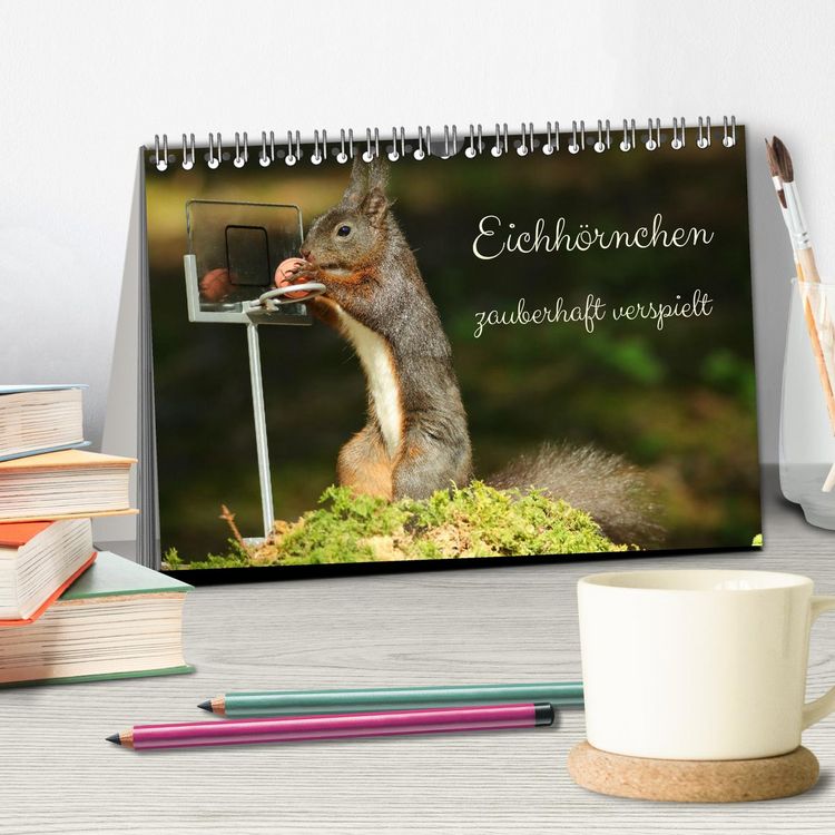 Produktbild: Eichh&ouml;rnchen - zauberhaft verspielt (Tischkalender 2026 DIN A5 quer), CALVENDO Monatskalender