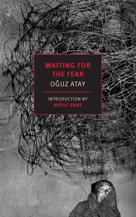 Produktbild: Waiting for the Fear