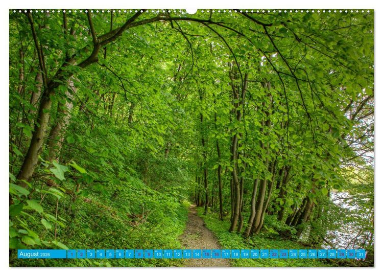 Produktbild: Natur pur - Volkach am Main (Wandkalender 2026 DIN A2 quer), CALVENDO Monatskalender