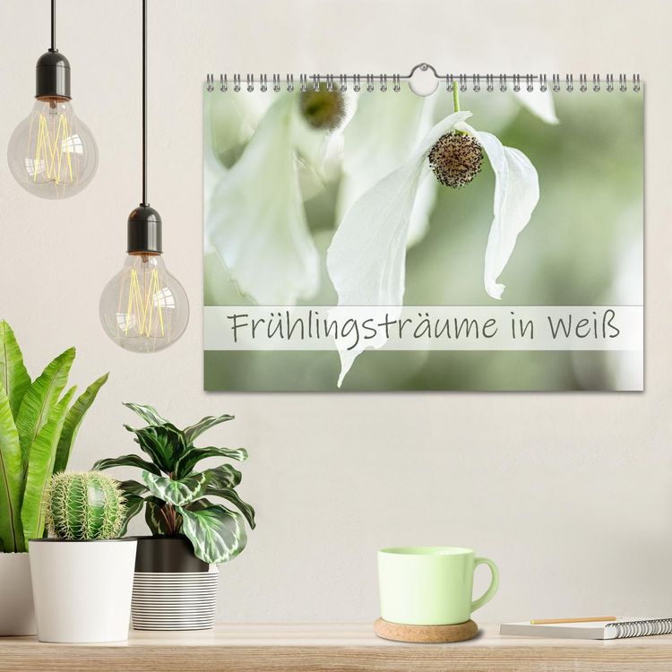 Produktbild: Fr&uuml;hlingstr&auml;ume in Wei&szlig; (Wandkalender 2026 DIN A4 quer), CALVENDO Monatskalender