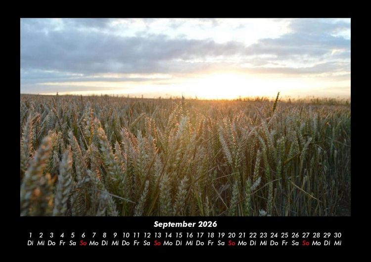 Produktbild: Blick in die Natur 2026 Fotokalender DIN A3