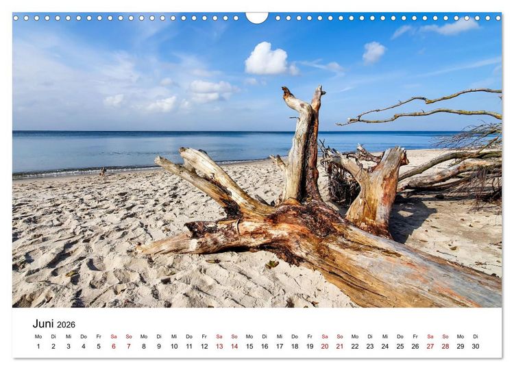 Produktbild: Fischland-Dar&szlig;-Zingst - Traumhafte Ostseelandschaften (Wandkalender 2026 DIN A3 quer), CALVENDO Monatskalender