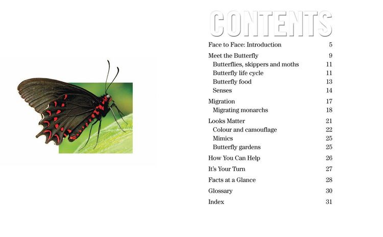 Produktbild: Nat Geo Reader Butterflies
