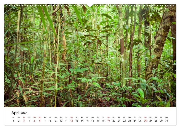 Produktbild: Mythos Amazonas - Naturparadies Brasiliens (Wandkalender 2026 DIN A2 quer), CALVENDO Monatskalender