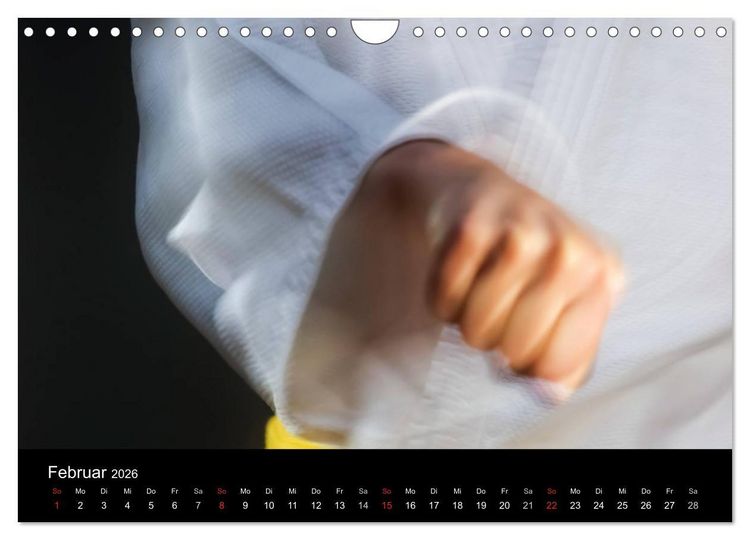 Produktbild: Kampfsport (Wandkalender 2026 DIN A4 quer), CALVENDO Monatskalender