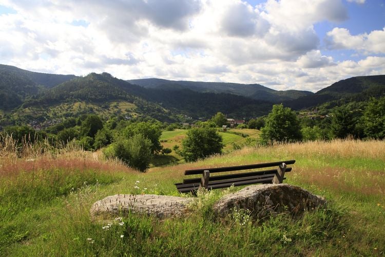 Produktbild: Wanderparadies Schwarzwald