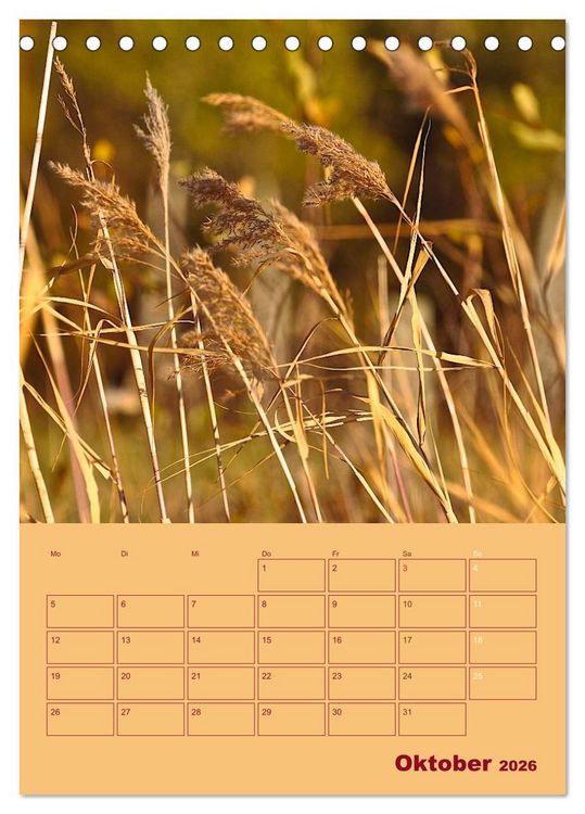 Produktbild: Wald- und Wiesenkalender 2026 Planer (Tischkalender 2026 DIN A5 hoch), CALVENDO Monatskalender