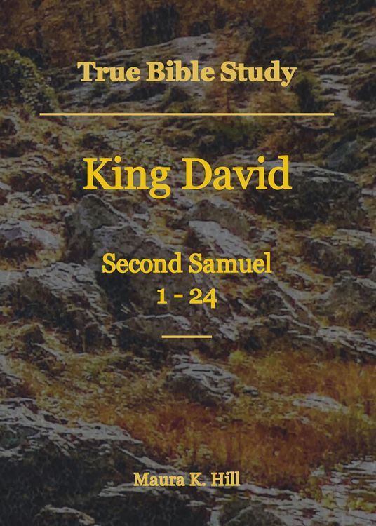 Produktbild: True Bible Study - King David Second Samuel 1-24