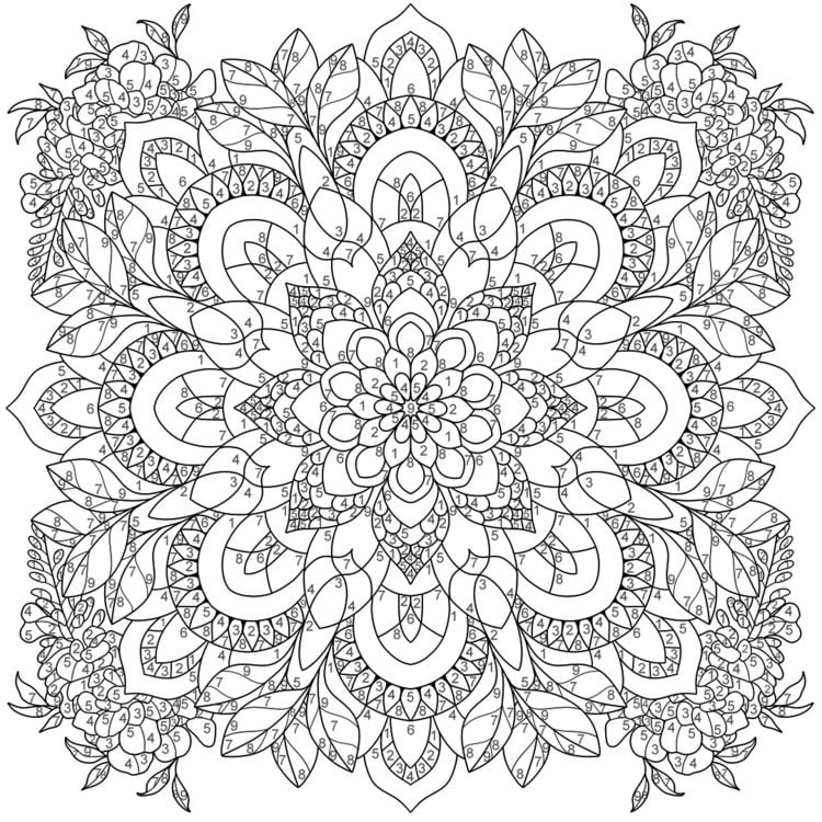 Produktbild: Mandala-Reise