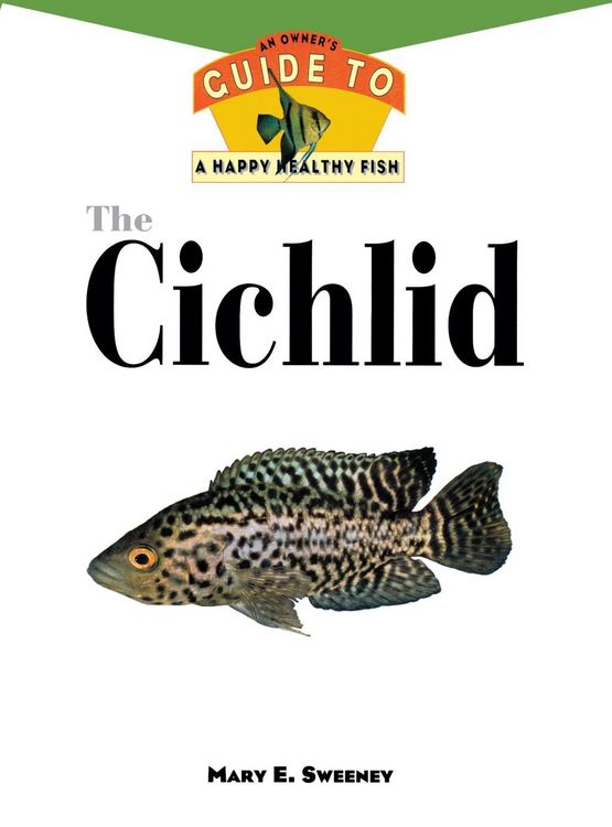 Produktbild: The Cichlid