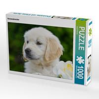 Produktbild: CALVENDO Puzzle Herzensbrecher | 1000 Teile Lege-Gr&ouml;&szlig;e 64x48cm Foto-Puzzle f&uuml;r gl&uuml;ckliche Stunden