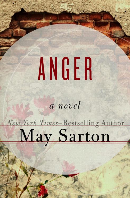 Produktbild: Anger