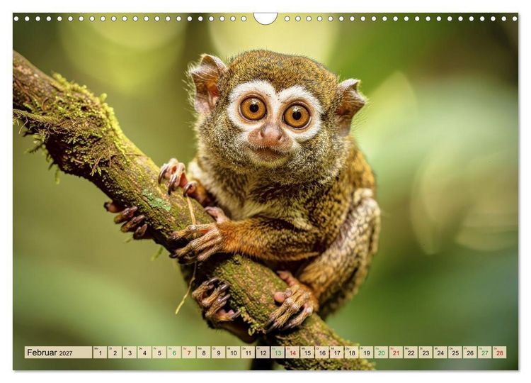 Produktbild: Die kleinsten Tiere - Weltweit (Wandkalender 2027 DIN A3 quer), CALVENDO Monatskalender