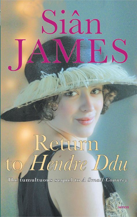 Produktbild: Return to Hendre Ddu