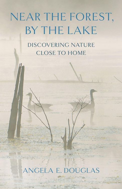 Produktbild: Near the Forest, by the Lake