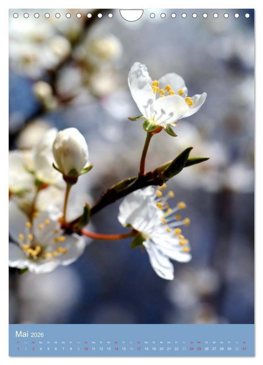 Produktbild: Natur-Romantik (Wandkalender 2026 DIN A4 hoch), CALVENDO Monatskalender