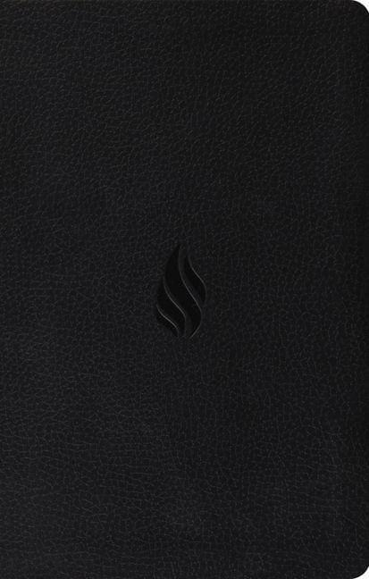 Produktbild: ESV Premium Gift Bible (Trutone, Midnight, Flame Design)