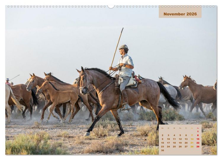 Produktbild: Pferde - Andalusiens wilder Westen (Wandkalender 2026 DIN A2 quer), CALVENDO Monatskalender