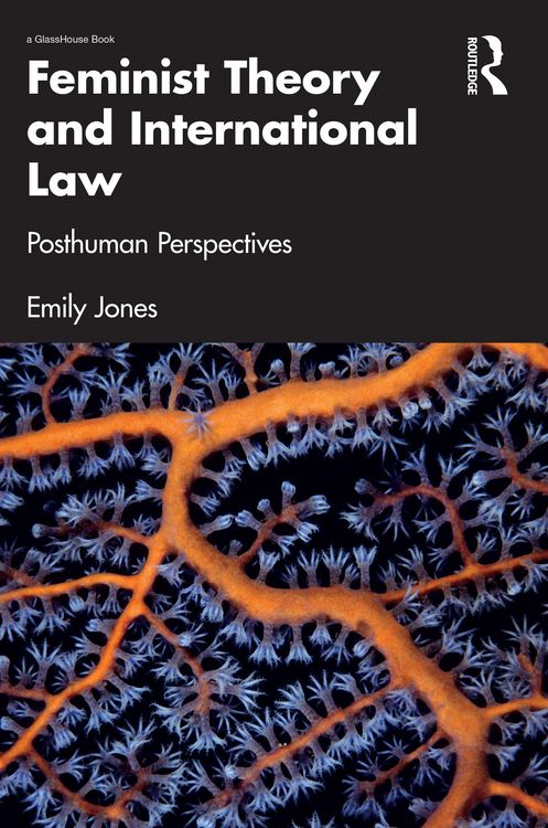 Produktbild: Feminist Theory and International Law