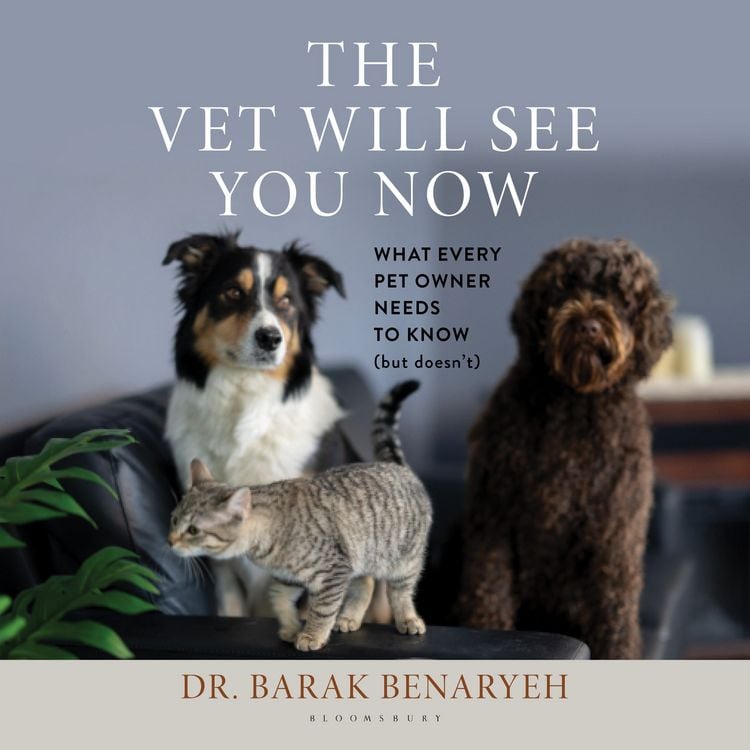 Produktbild: The Vet Will See You Now