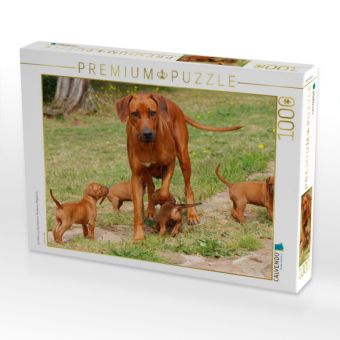 Produktbild: CALVENDO Puzzle Ein Motiv aus dem Kalender Rhodesian Ridgebacks | 1000 Teile Lege-Gr&ouml;&szlig;e 64x48cm Foto-Puzzle f&uuml;r gl&uuml;ckliche Stunden