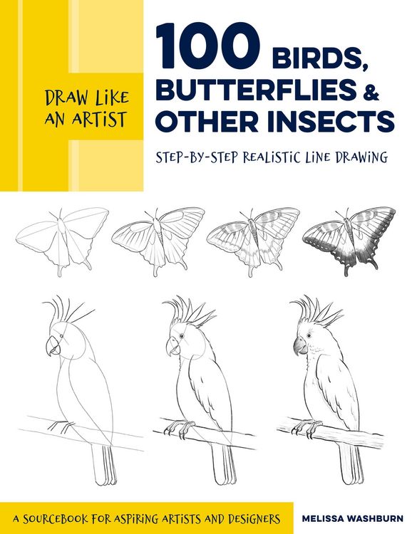 Produktbild: Draw Like an Artist: 100 Birds, Butterflies, and Other Insects