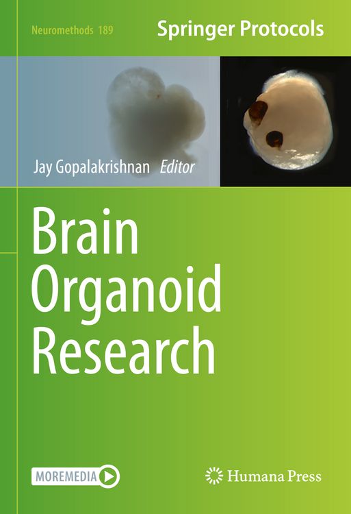 Produktbild: Brain Organoid Research