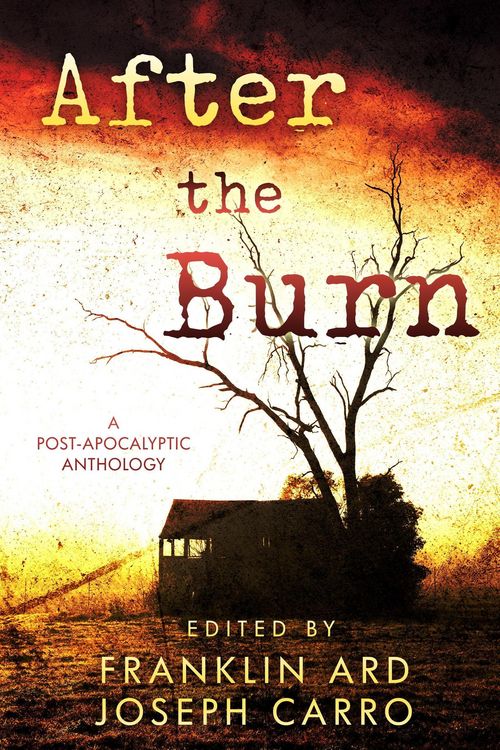 Produktbild: After the Burn