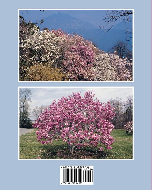 Produktbild: Magnolias