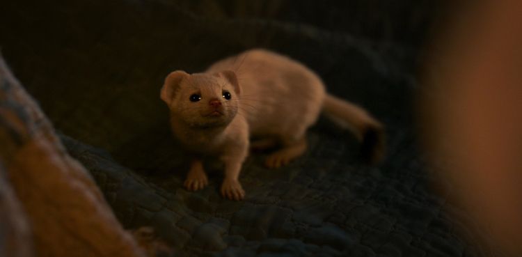 His Dark Materials: Staffel 3 [3 DVDs]